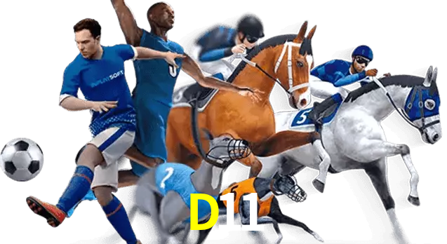 D11