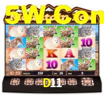 D11